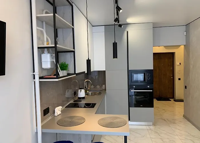 Apartment Maksim Modern